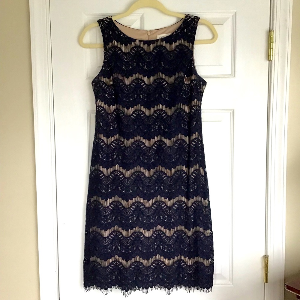 Eliza J Scoop Neck Lace Sheath Cocktail Dress Sheer Navy Cream Tan Lining 2